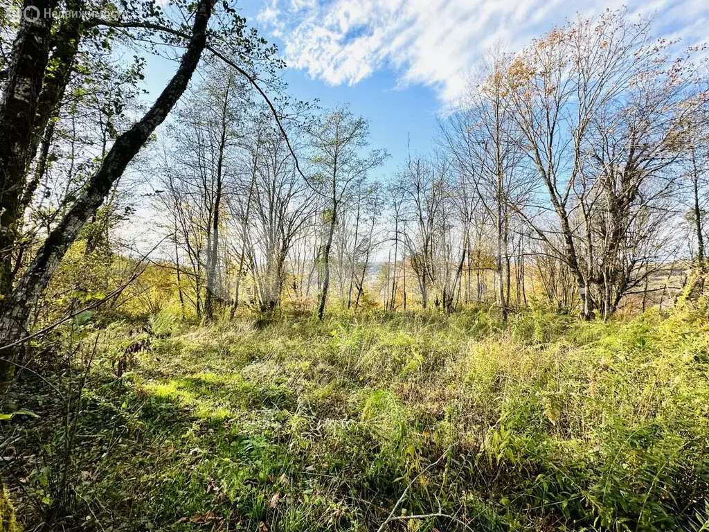 Участок в Краснодарский край, городской округ Сочи, село ... - Фото 1
