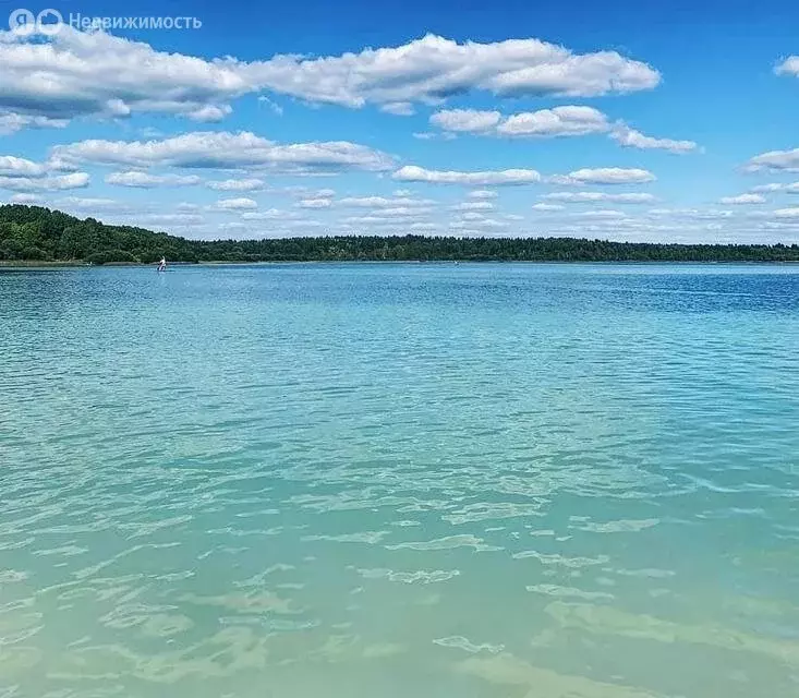 Участок в Волосовский район, Калитинское сельское поселение, деревня ... - Фото 0