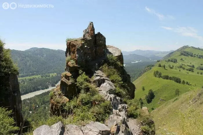 Участок в Алтайский район, Айский сельсовет, село Ая (600 м) - Фото 0