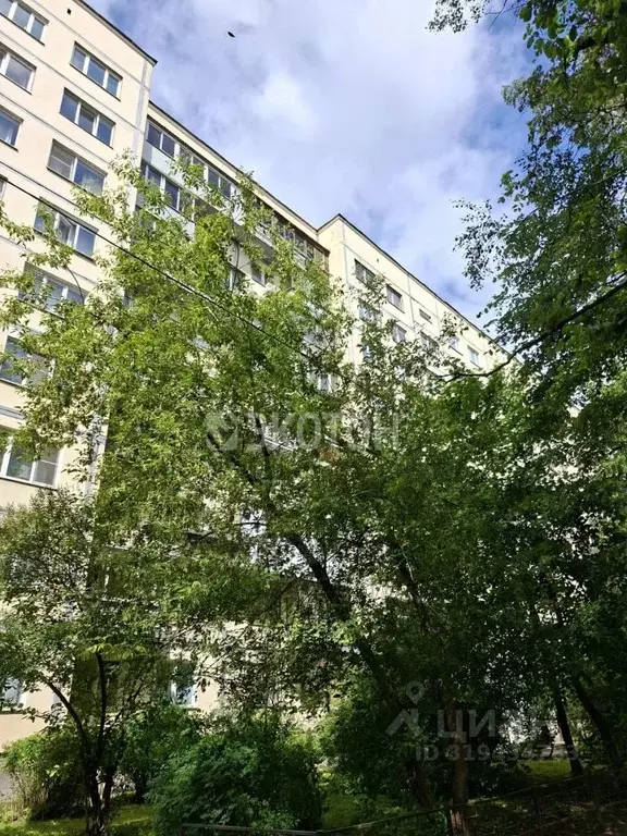 1-к кв. Санкт-Петербург ул. Ушинского, 31 (34.0 м) - Фото 0