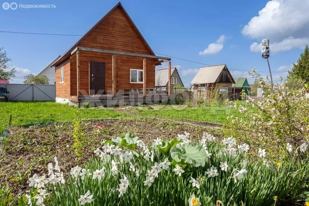 Дом в Новосибирская область, Бердск (60 м) - Фото 0