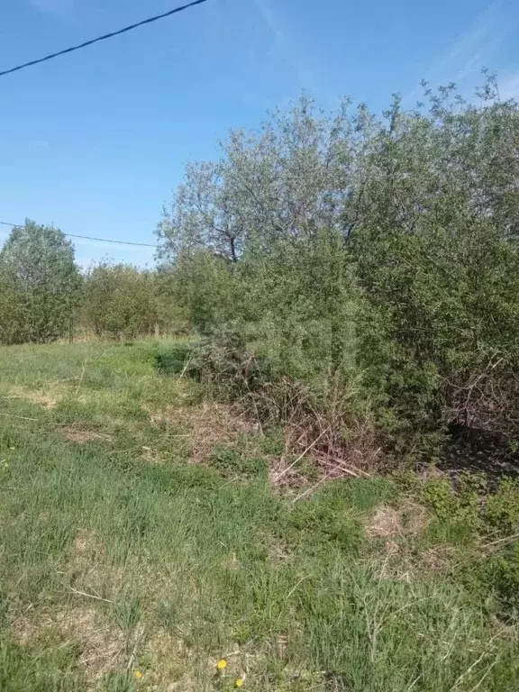 Участок в Вологодская область, Сокольский муниципальный округ, ... - Фото 0