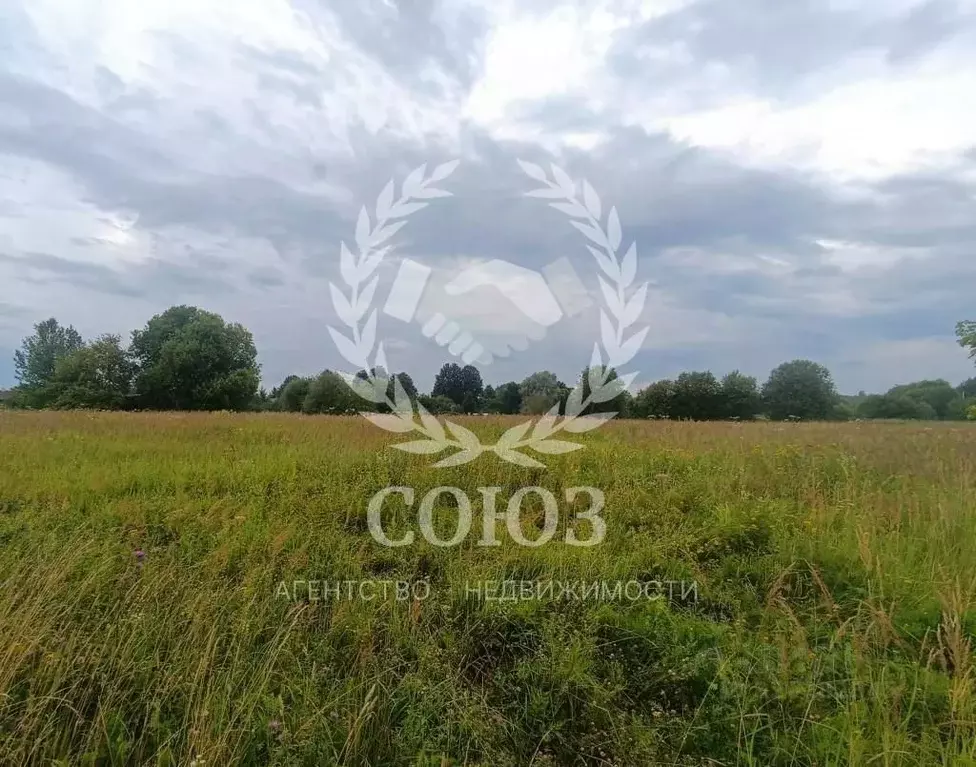 Участок в Калужская область, Ферзиковский район, Бронцы с/пос, д. ... - Фото 2