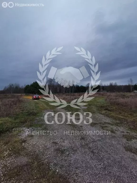 Участок в Тульская область, городской округ Алексин, село Сотино (15 ... - Фото 2