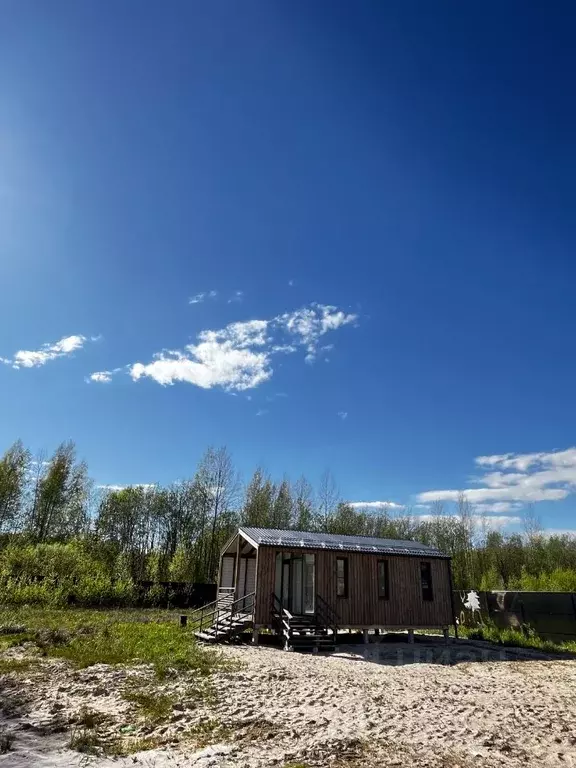 Участок в Ленинградская область, Всеволожский район, Колтушское ... - Фото 0