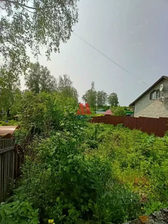 Участок в Ярославская область, Ярославль Березовая Роща-1 СНТ, 2А ... - Фото 1
