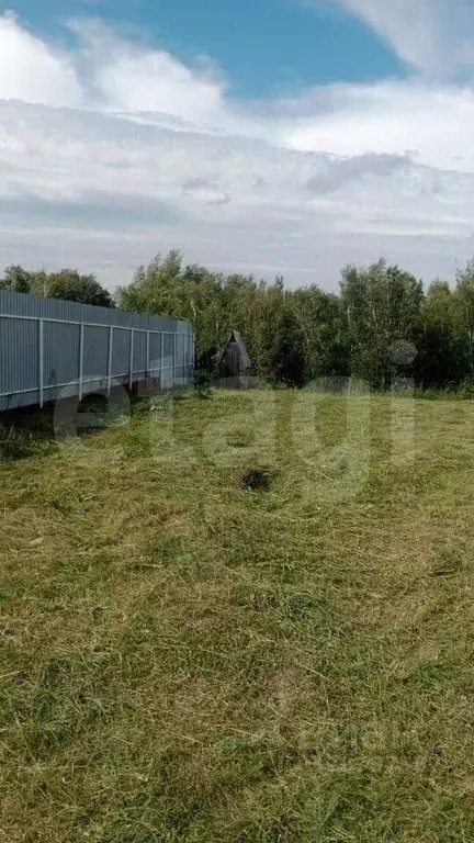 Участок в Новосибирская область, Коченевский район, Недра-3 садовое ... - Фото 1