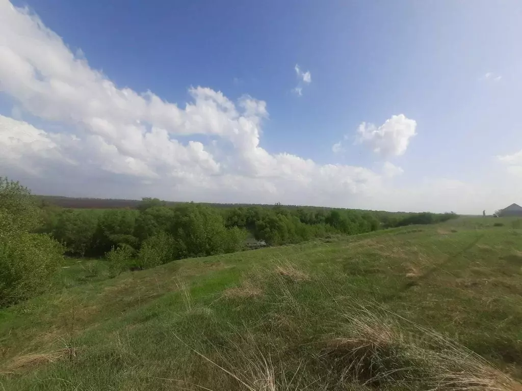 Участок в Липецкая область, Краснинский муниципальный округ, д. ... - Фото 2