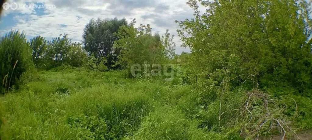 Участок в городской округ Нижний Новгород, деревня Кузьминка (12 м) - Фото 1