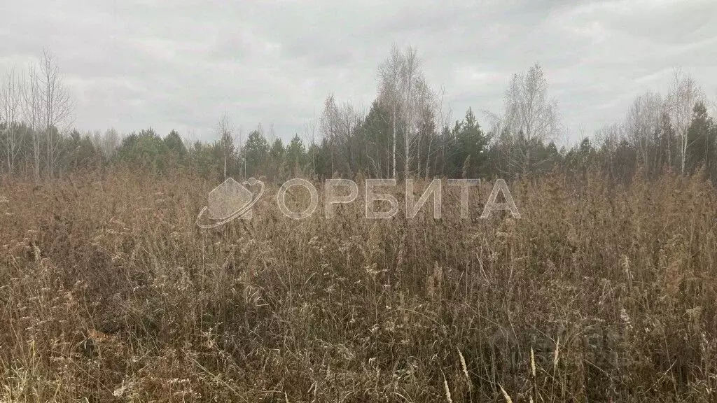 Участок в Тюменская область, Нижнетавдинский район, Геолог-2 СНТ  (9.2 ... - Фото 1