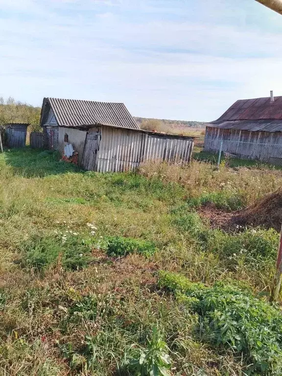 Дом в Мордовия, Ковылкинский район, Рыбкинское с/пос, с. Черемис ул. ... - Фото 2