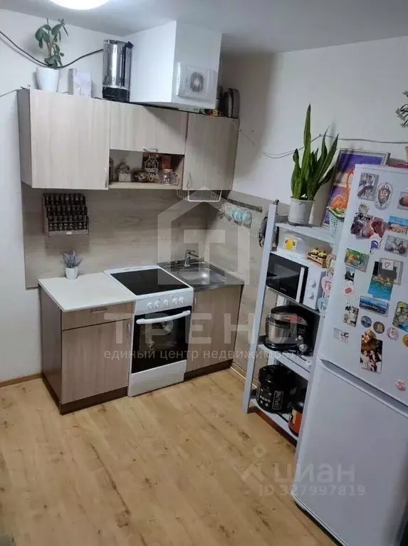 Студия Санкт-Петербург Усть-Славянка тер., ул. Славянская, 26 (29.8 м) - Фото 1