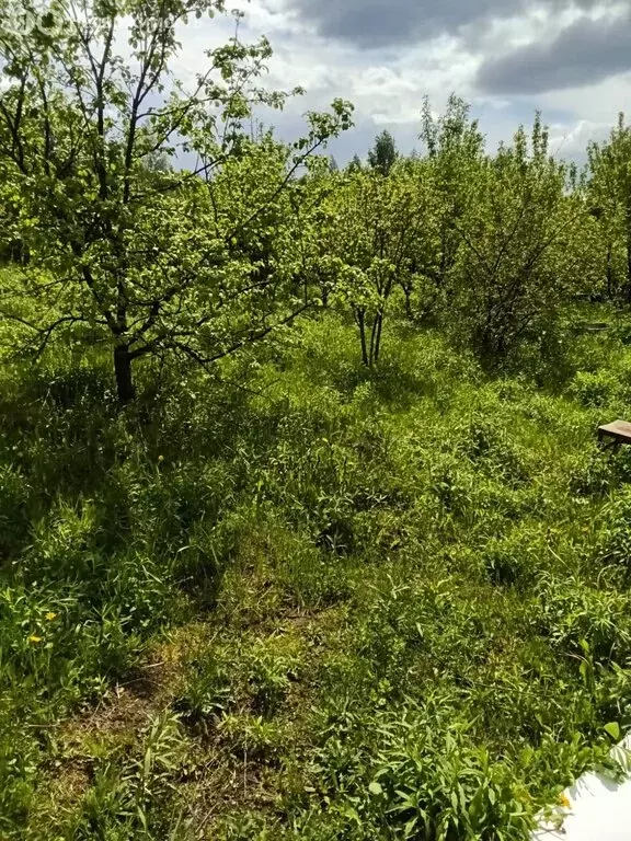 Участок в Пензенский район, Воскресеновский сельсовет, СНТ Малиновка, ... - Фото 0