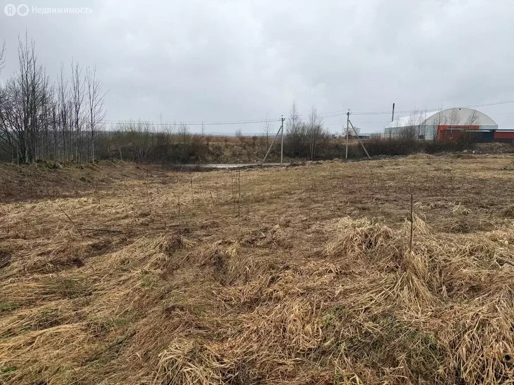 Участок в Низинское сельское поселение, территория Порзолово (24.5 м) - Фото 2