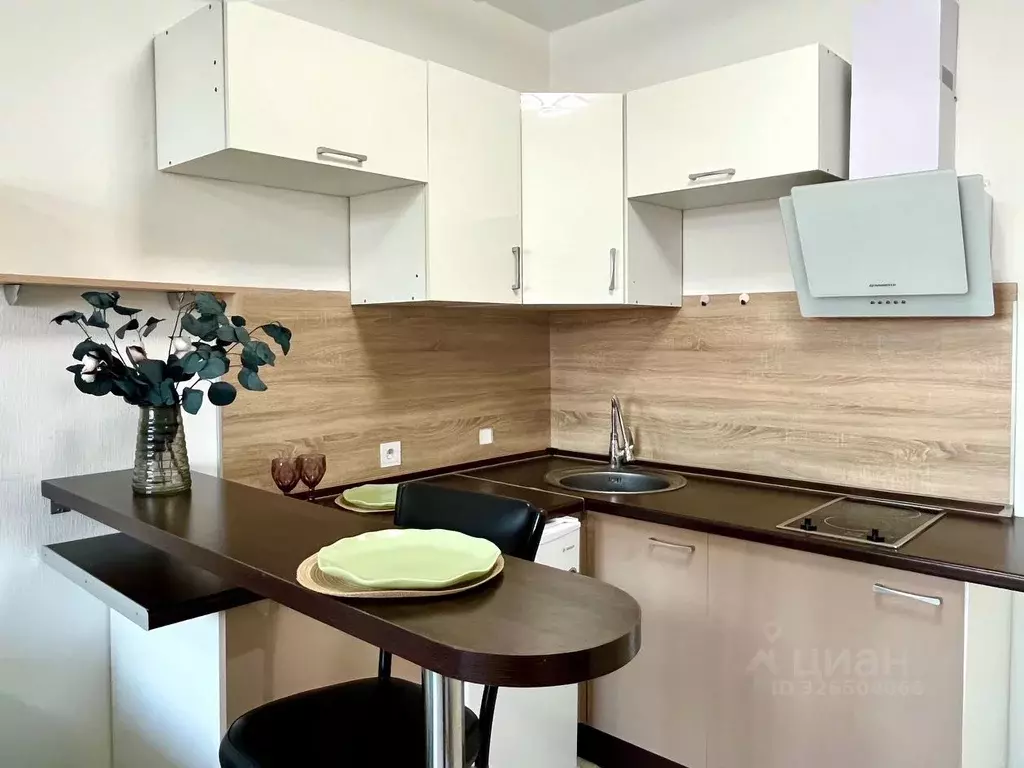 Студия Санкт-Петербург ш. Суздальское, 18к3 (25.0 м) - Фото 1