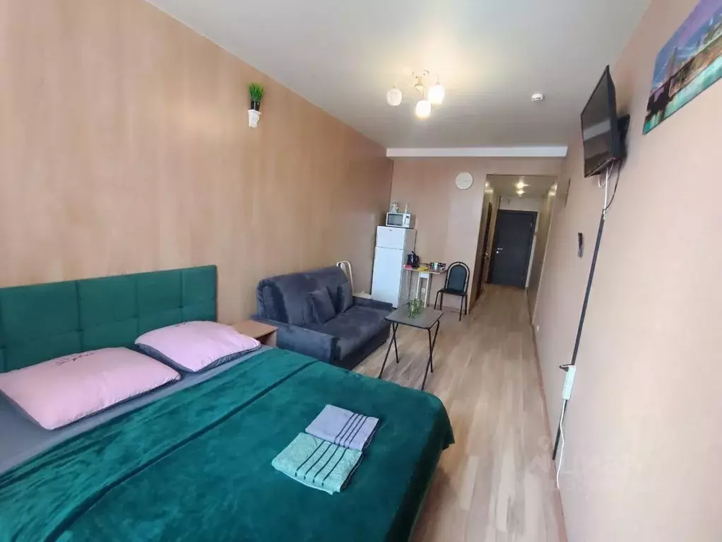 Студия Московская область, Электросталь Комсомольская ул., 1 (27.0 м) - Фото 1