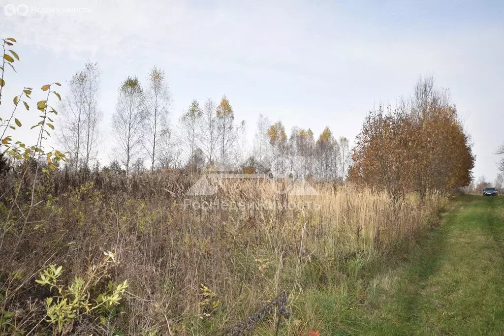 Участок в Владимирская область, Кольчугинский муниципальный округ, ... - Фото 1