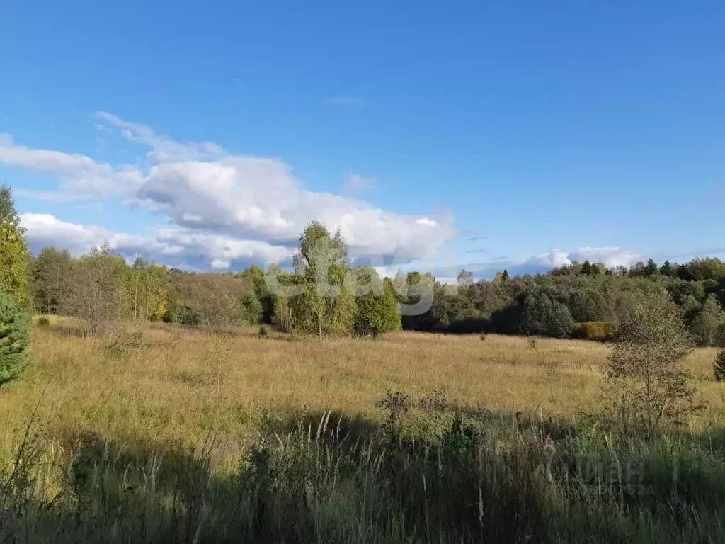 Участок в Костромская область, Красносельский район, Прискоковское ... - Фото 0