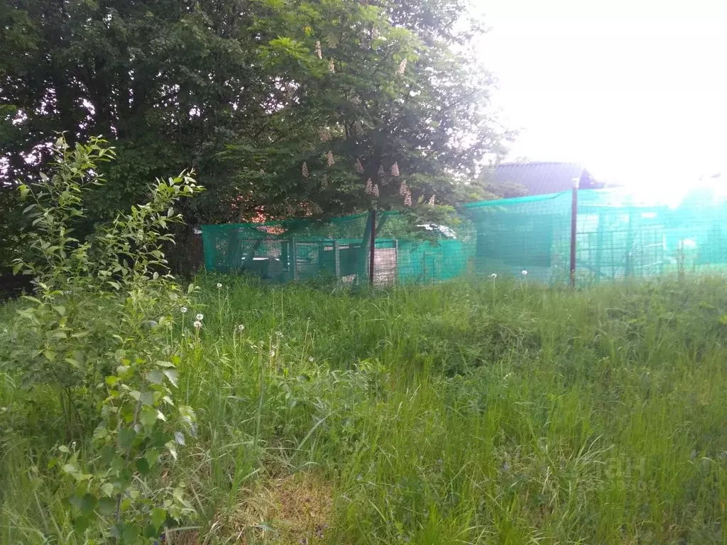 Участок в Московская область, Солнечногорск городской округ, д. ... - Фото 0