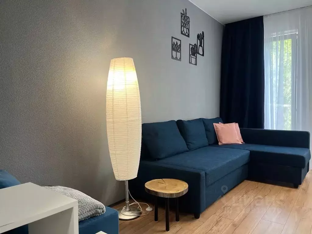 Студия Карелия, Костомукша Октябрьская ул., 4А (27.0 м) - Фото 2