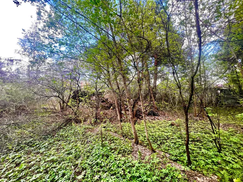 Участок в Балашиха, микрорайон Кучино, Институтская улица, 23 (14.8 м) - Фото 1