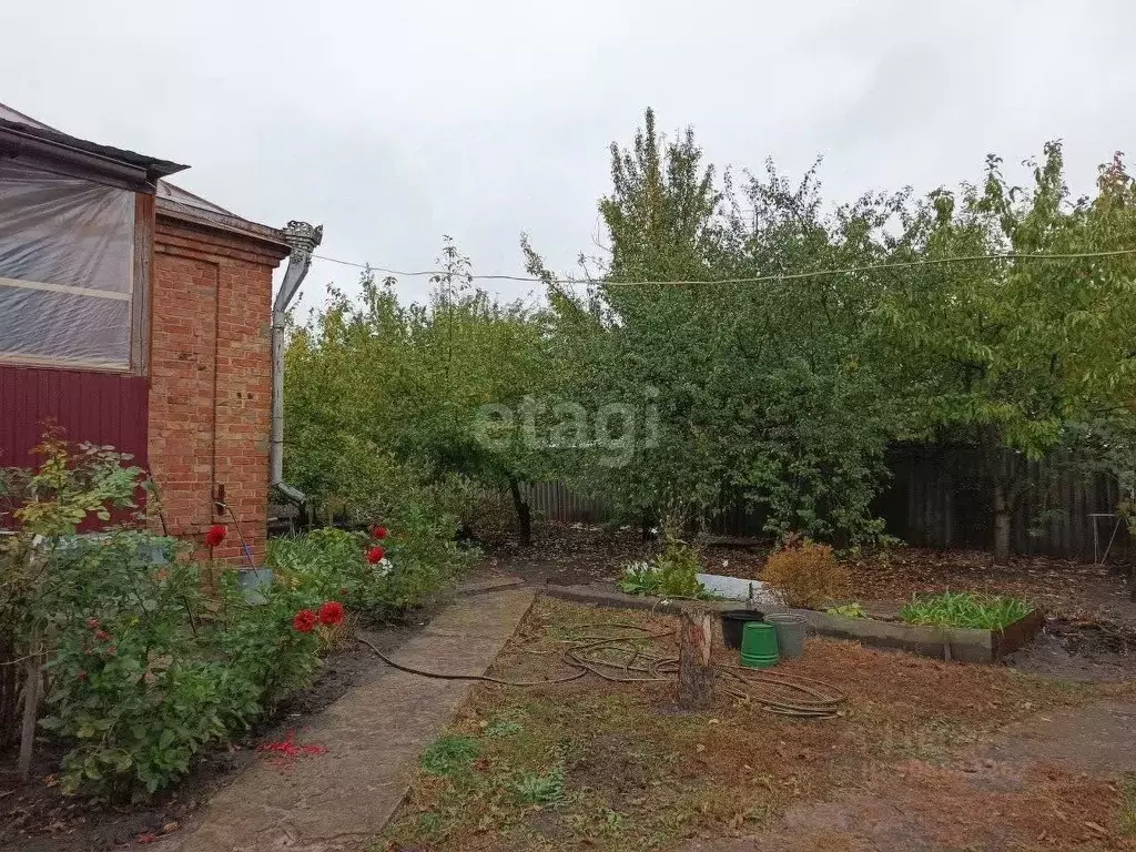 Дом в Белгородская область, Валуйский городской округ, Уразово рп ул. ... - Фото 1