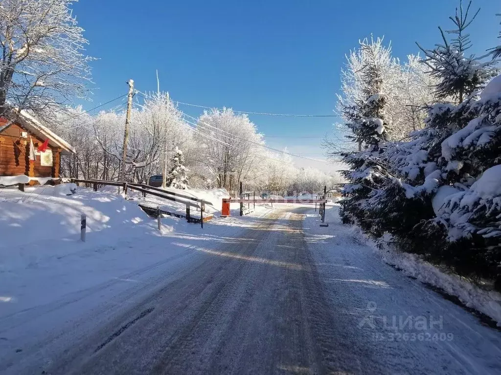 Участок в Ленинградская область, Всеволожский район, Токсовское ... - Фото 2
