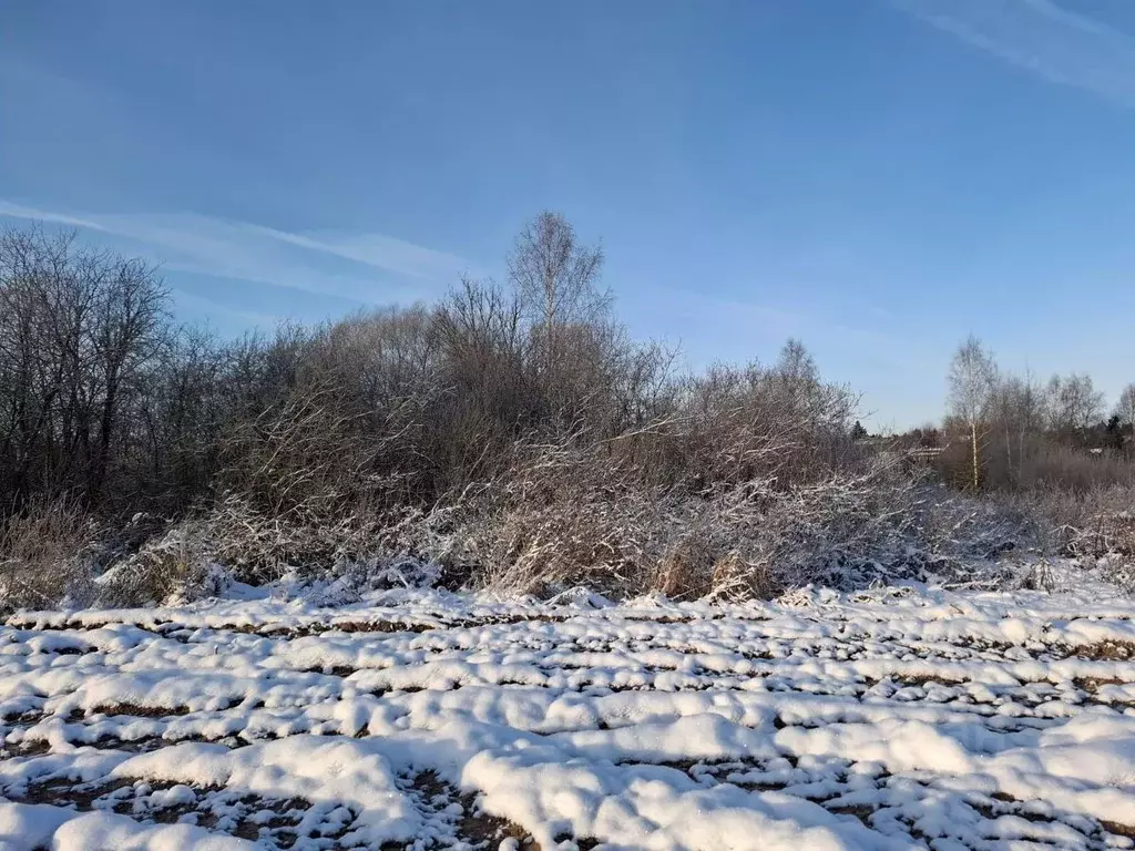 Участок в Московская область, Пушкинский городской округ, д. ... - Фото 1