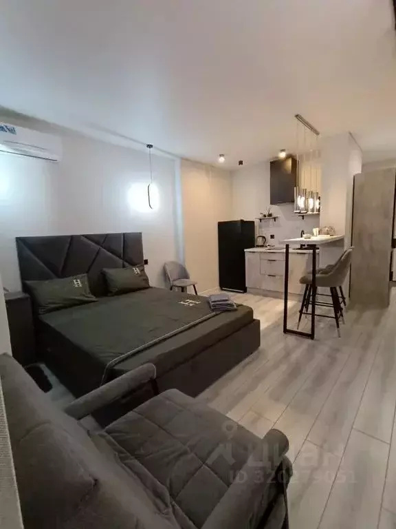 Студия Ростовская область, Ростов-на-Дону просп. Ленина, 46/2 (25.0 м) - Фото 2