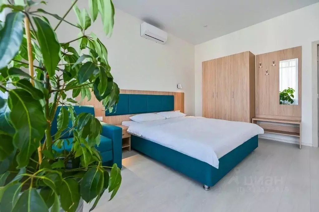 Комната Краснодарский край, Новороссийск ул. Толстого, 2Б (20.0 м) - Фото 1