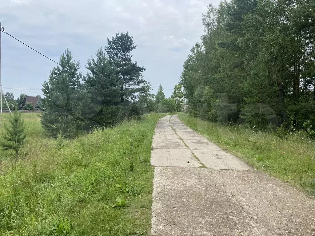 Участок 12 сот. (ИЖС) - Фото 1