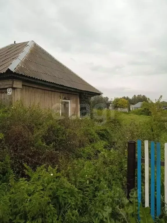 Дом в Кемеровская область, Крапивинский пгт ул. Островского (58 м) - Фото 1