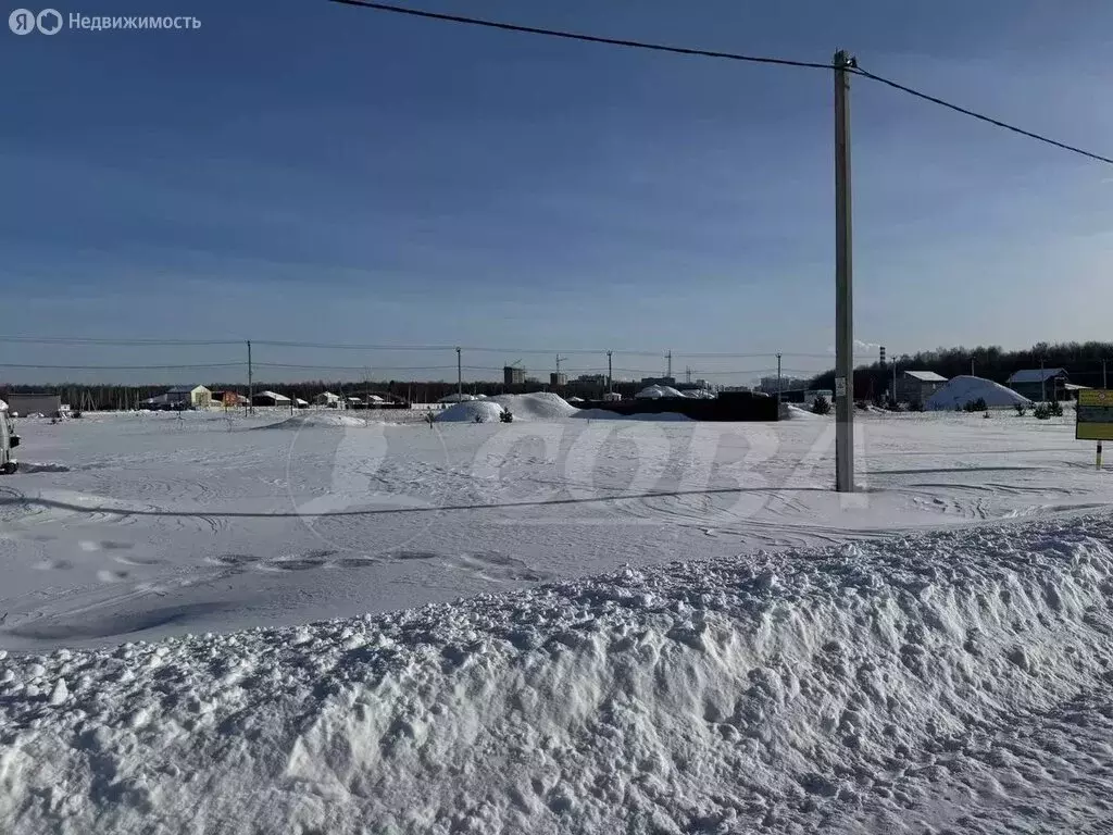 Участок в Тюменский муниципальный округ, деревня Падерина (8 м) - Фото 1