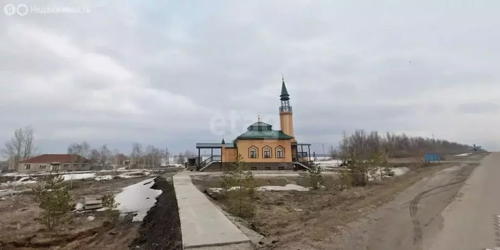 Участок в Саратовская область, Новобурасское муниципальное ... - Фото 0