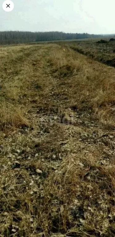 Участок в Калужская область, Дзержинский муниципальный округ, Редькино ... - Фото 2