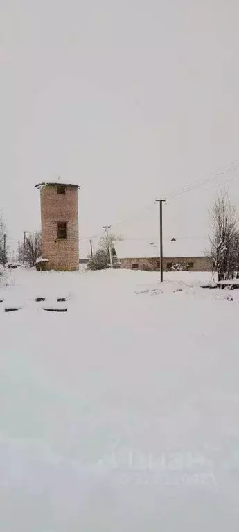 Участок в Ленинградская область, Волховский район, Кисельнинское ... - Фото 1