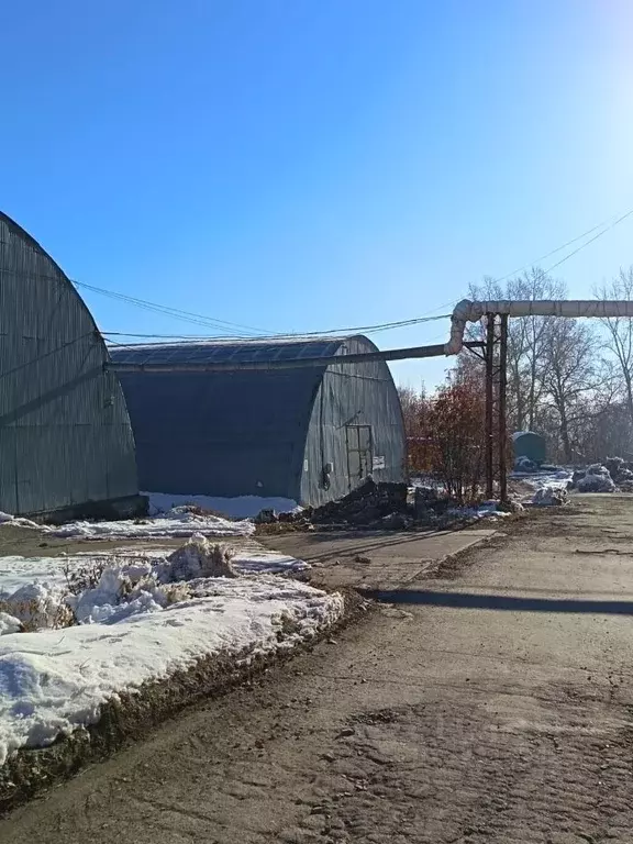 Склад в Новосибирская область, Новосибирск просп. Дзержинского, 87/3 ... - Фото 1