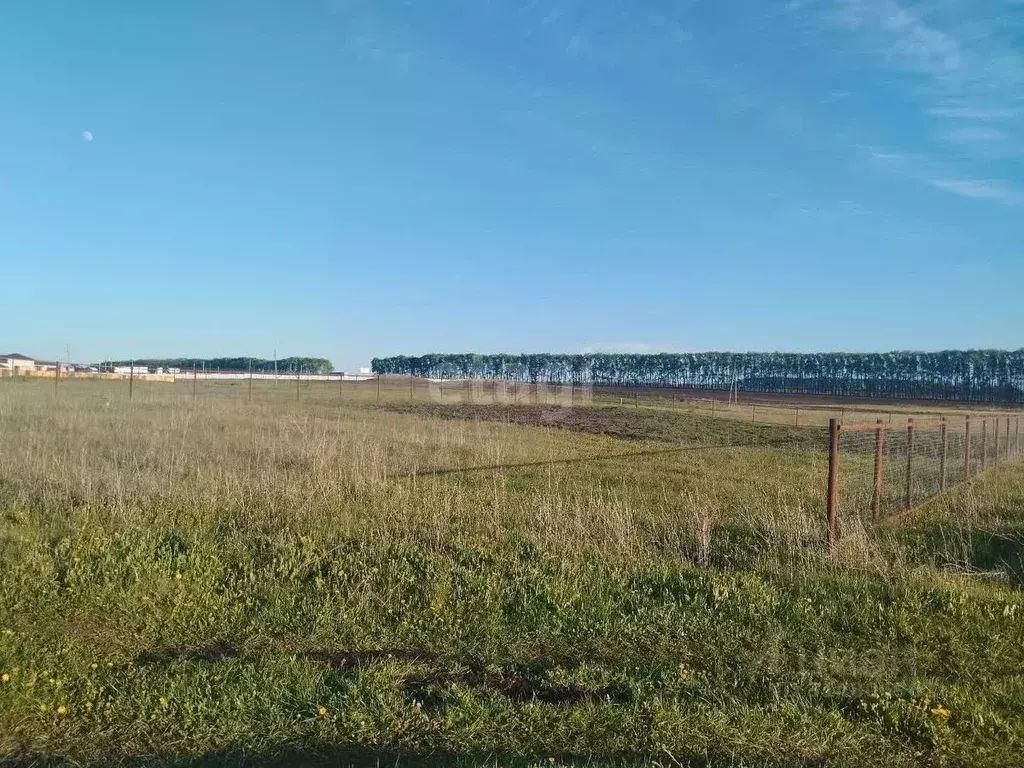 Участок в Башкортостан, Благоварский район, с. Кашкалаши  (17.8 сот.) - Фото 0