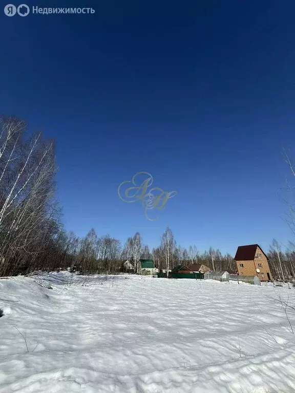 Участок в Московская область, городской округ Клин, СНТ Берёзовка, ... - Фото 2