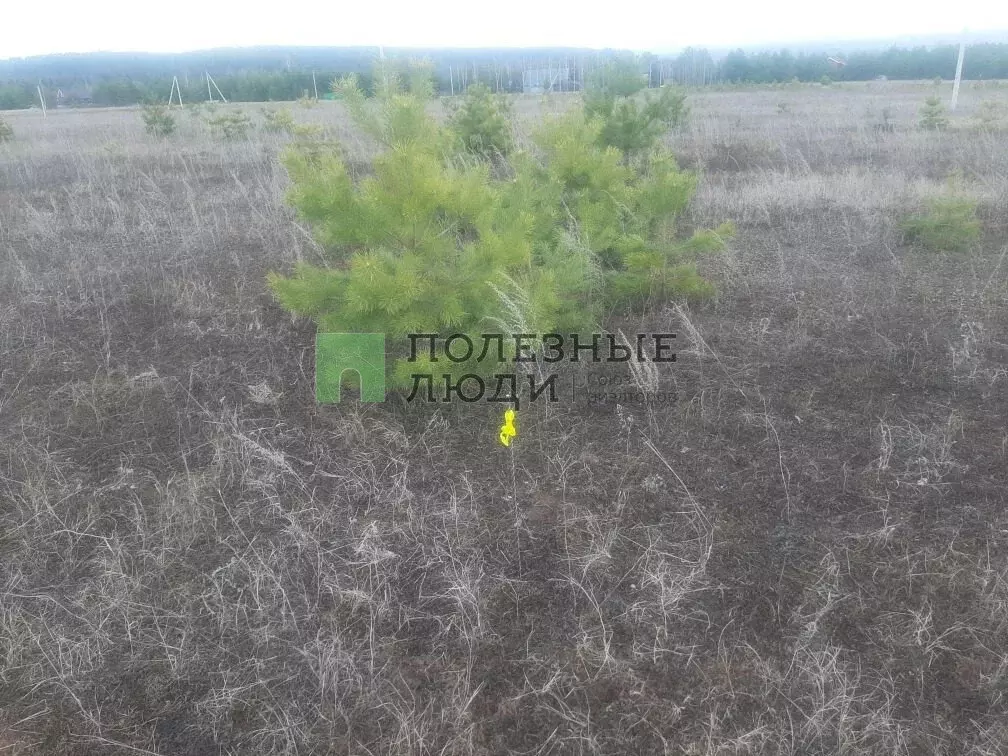 Участок в Воткинский район, деревня Сидоровы Горы (12 м) - Фото 2