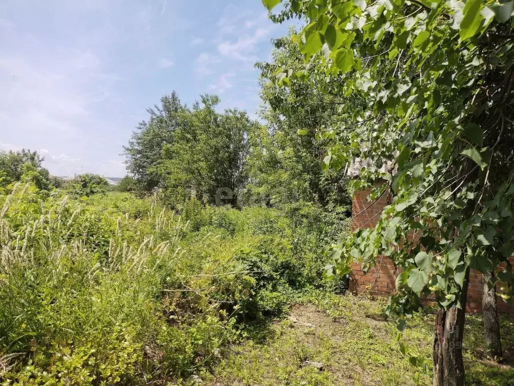 Участок в Белгородская область, Валуйский муниципальный округ, Уразово ... - Фото 1