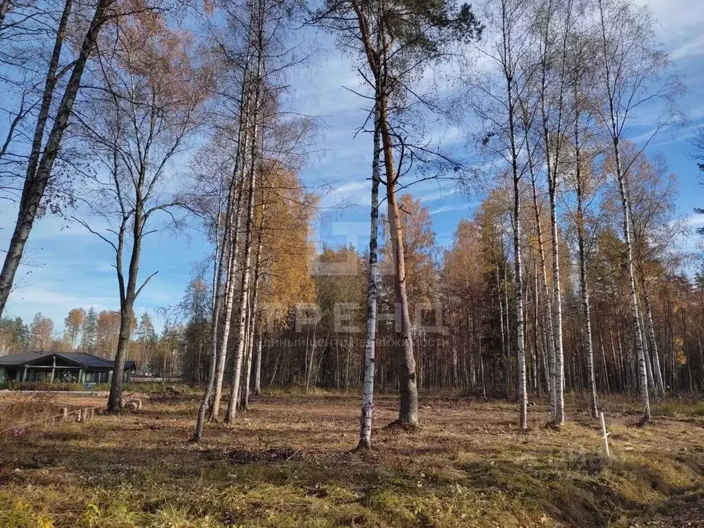 Участок в Ленинградская область, Всеволожский район, Лесколовское ... - Фото 0