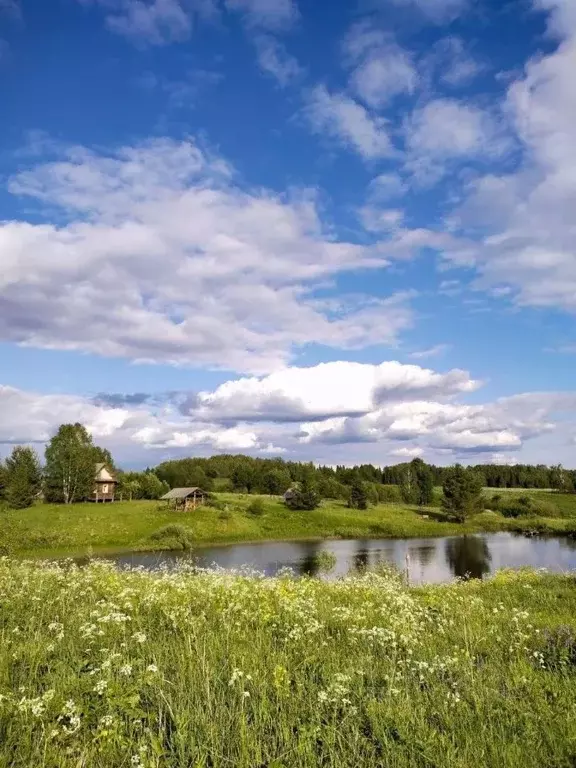 Дом в Пермский край, Ильинский городской округ, д. Гувашер  (43 м) - Фото 1