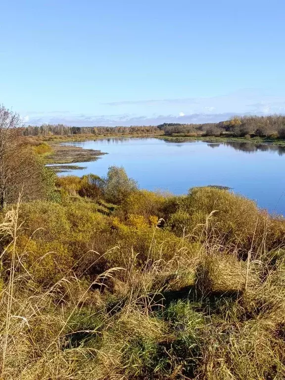 Участок в Псковская область, Псковский район, Тямшанская волость, д. ... - Фото 1