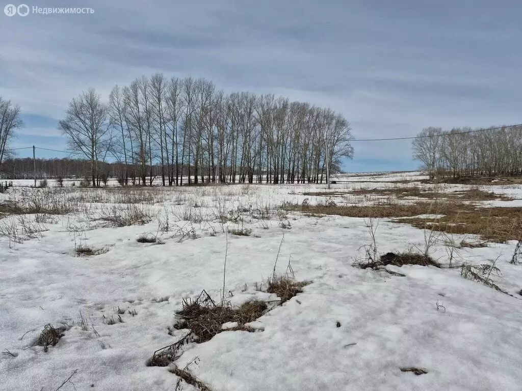 Участок в деревня Зимник, Тепличная улица (19.92 м) - Фото 2