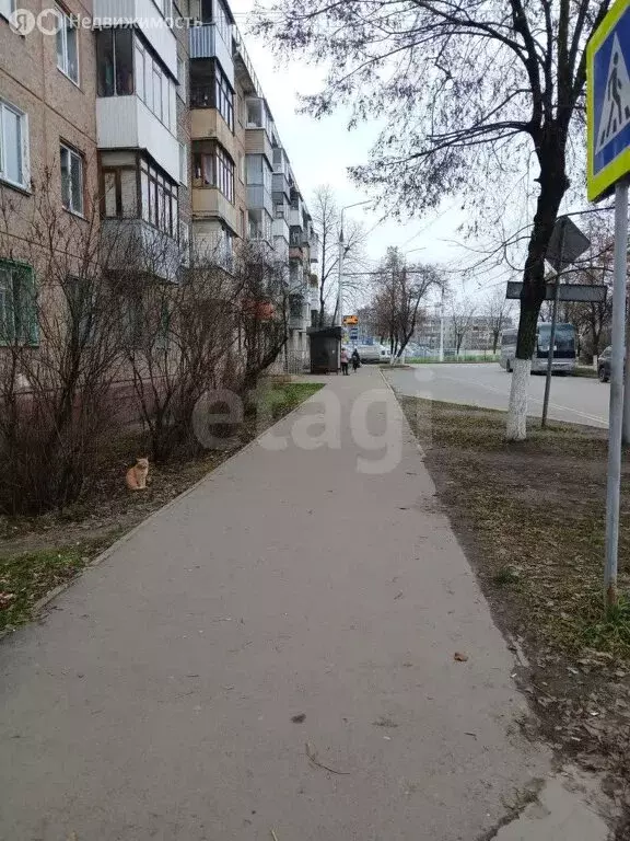 2-комнатная квартира: Брянск, улица Димитрова, 83 (44.7 м) - Фото 2