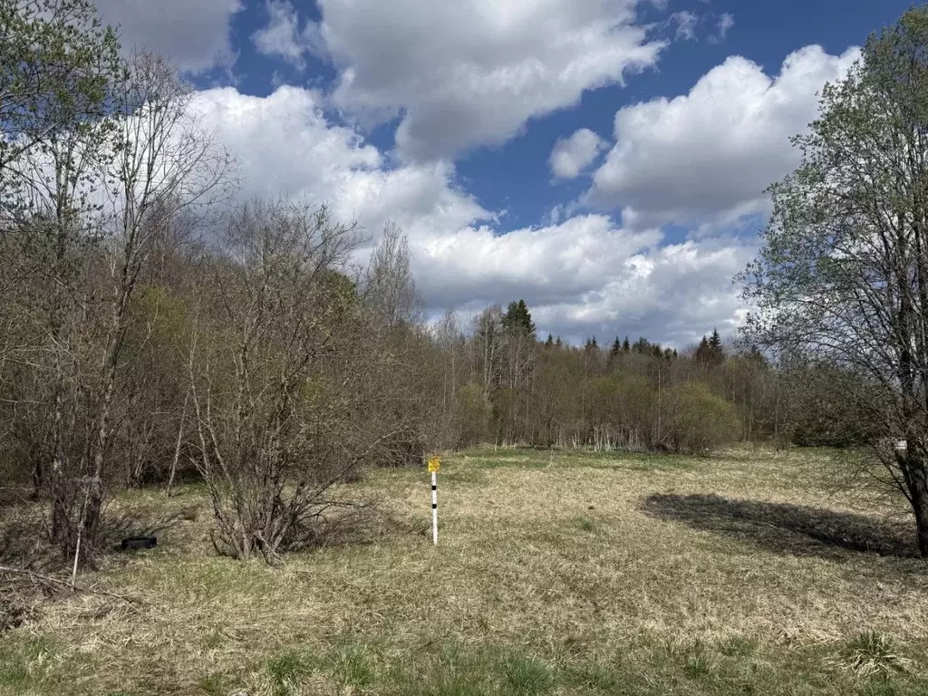 Участок в Вологодская область, Вытегорский муниципальный округ, д. ... - Фото 1