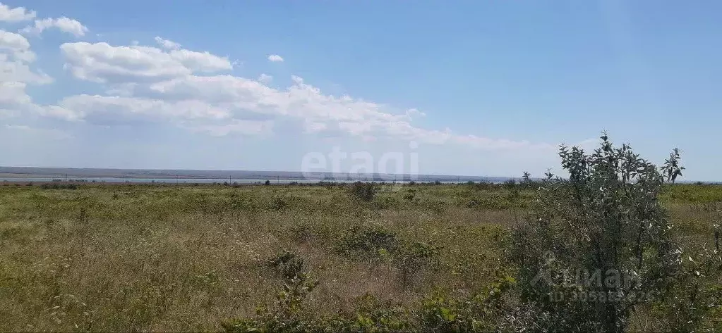 Участок в Крым, Черноморский район, с. Межводное ул. Джарылгачская ... - Фото 1