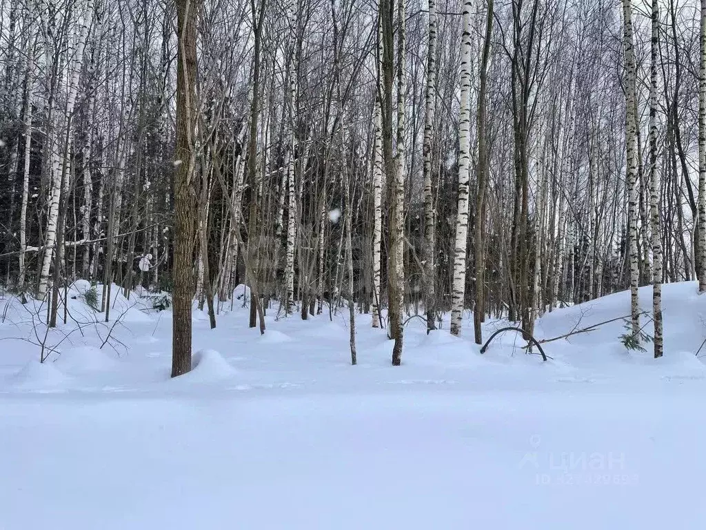 Участок в Пермский край, Пермь Ирбитская ул. (5.9 сот.) - Фото 2