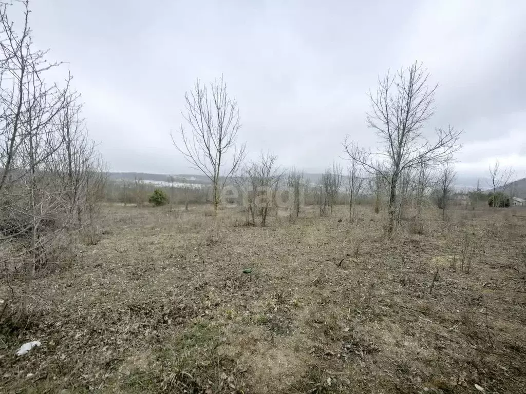 Участок в Краснодарский край, Новороссийск городской округ, с. ... - Фото 1